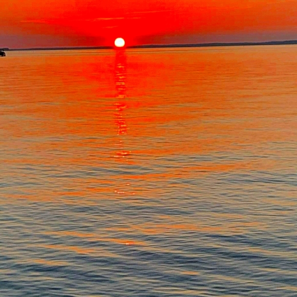 Meet your Posher, Tina - Picture 1 of 1